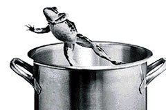 frog-boiling-pot